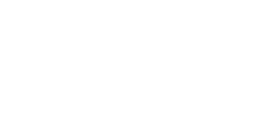 PAIU logo