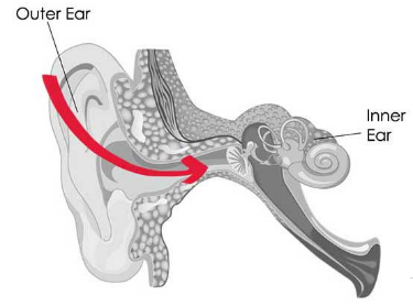 Conductive Hearing Loss